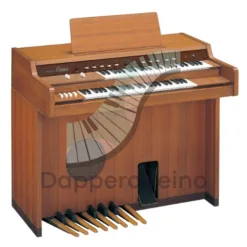 Keyboard Organ in New York